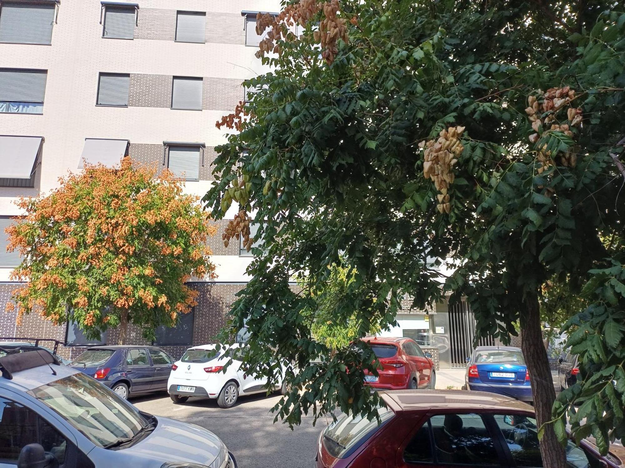 Estudios Nuevos Madrid Centro Exteriör bild