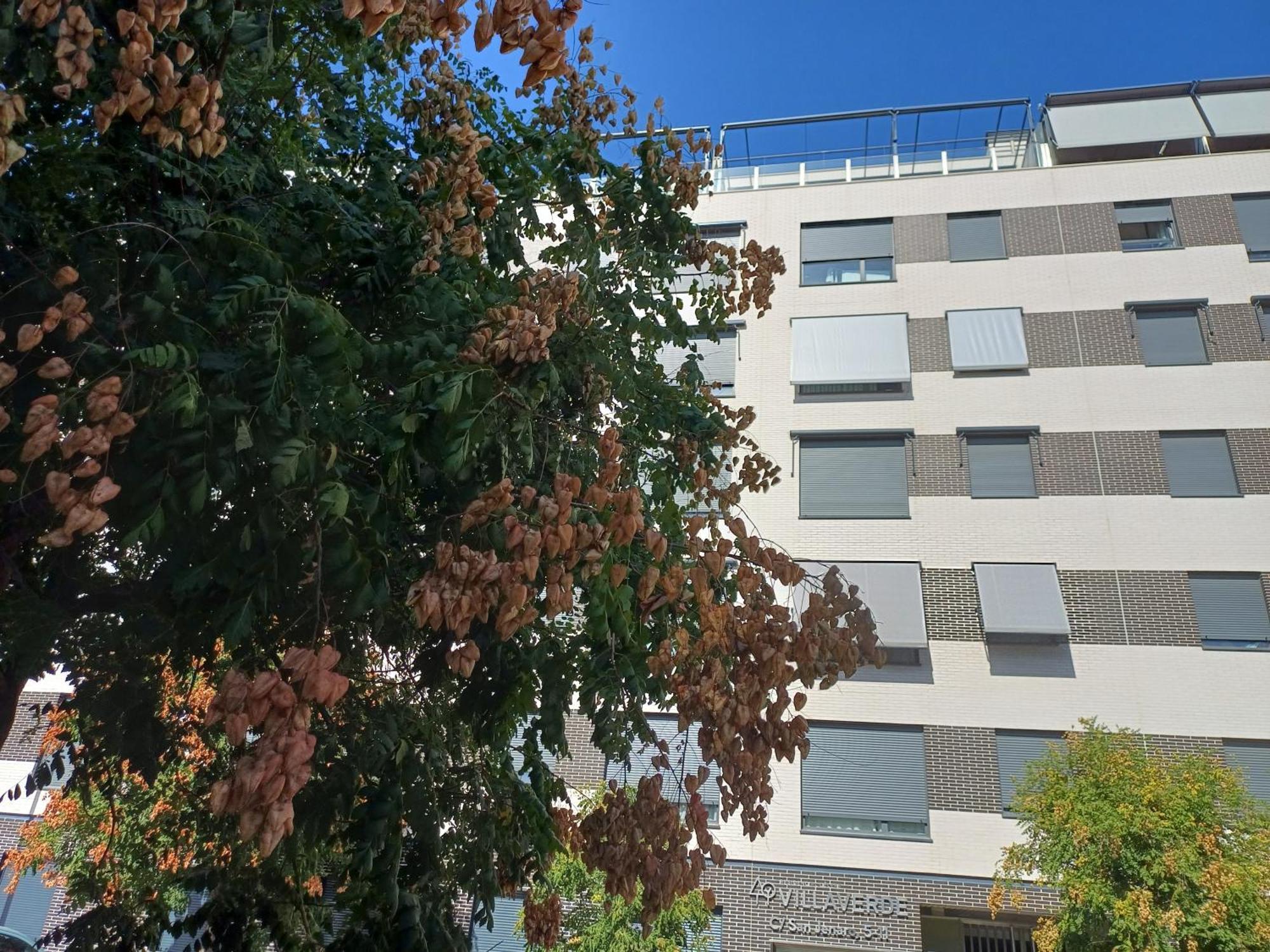 Estudios Nuevos Madrid Centro Exteriör bild